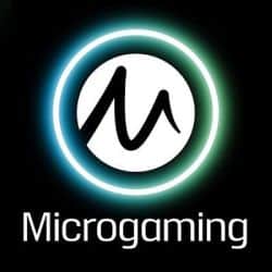 Microgaming Slots Hack